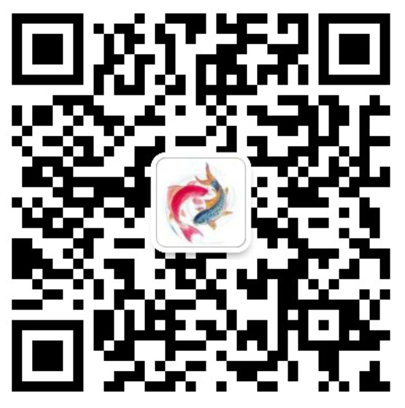 ng������Ϸ