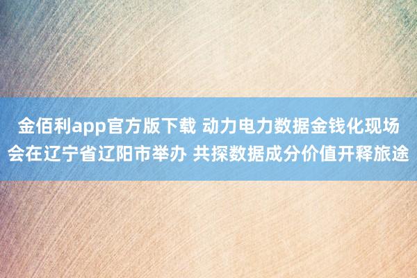 金佰利app官方版下载 动力电力数据金钱化现场会在辽宁省辽阳市举办 共探数据成分价值开释旅途