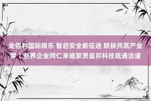 金佰利国际娱乐 智启安全新征途 联袂共筑产业梦｜各界企业同仁来临聚贤盛邦科技疏通洽道