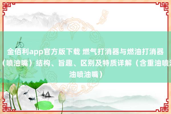 金佰利app官方版下载 燃气打消器与燃油打消器喷嘴（喷油嘴）结构、旨趣、区别及特质详解（含重油喷油嘴）