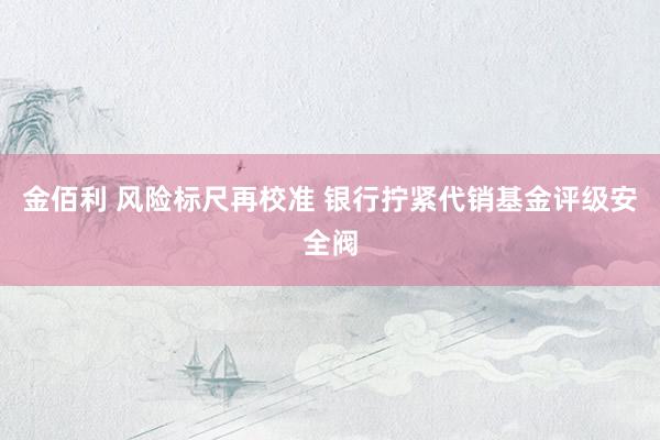 金佰利 风险标尺再校准 银行拧紧代销基金评级安全阀