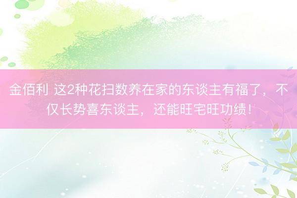 金佰利 这2种花扫数养在家的东谈主有福了，不仅长势喜东谈主，还能旺宅旺功绩！