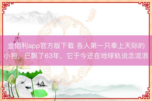 金佰利app官方版下载 各人第一只奉上天际的小狗，已飘了63年，它于今还在地球轨说念流浪
