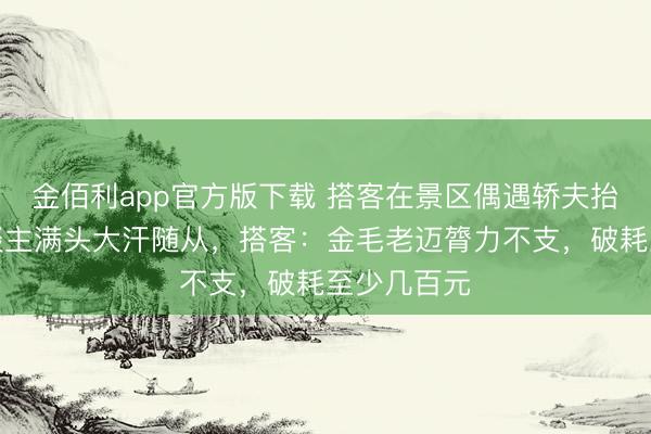 金佰利app官方版下载 搭客在景区偶遇轿夫抬狗，主东谈主满头大汗随从，搭客：金毛老迈膂力不支，破耗至少几百元